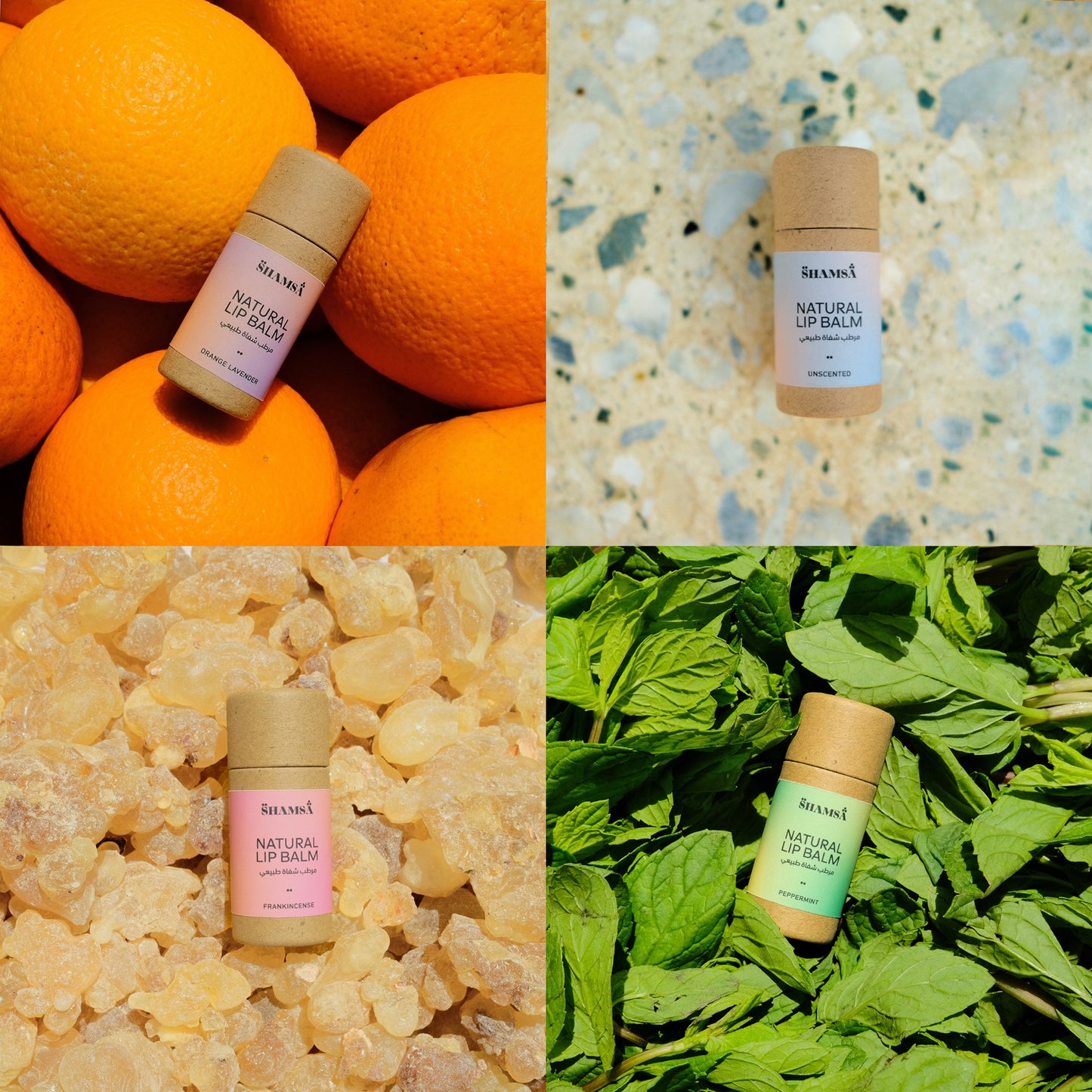 Lip Balm Bundle - 3-Pack